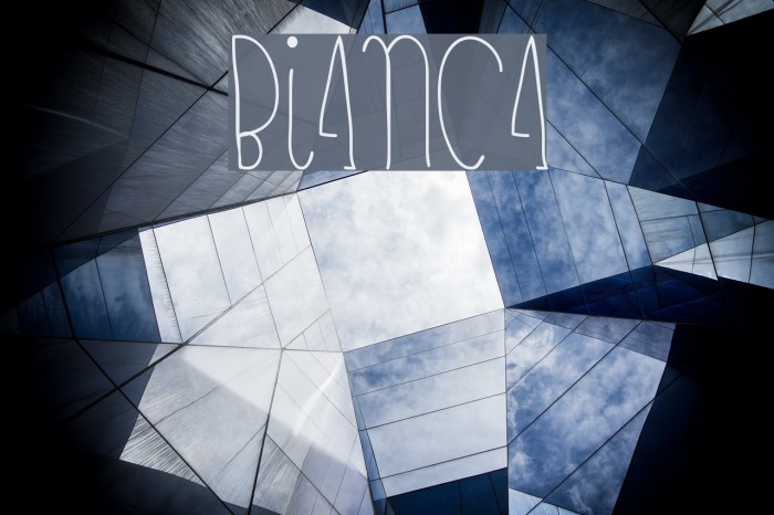 bianca Example 1