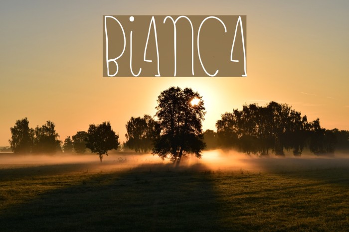 bianca Example 2