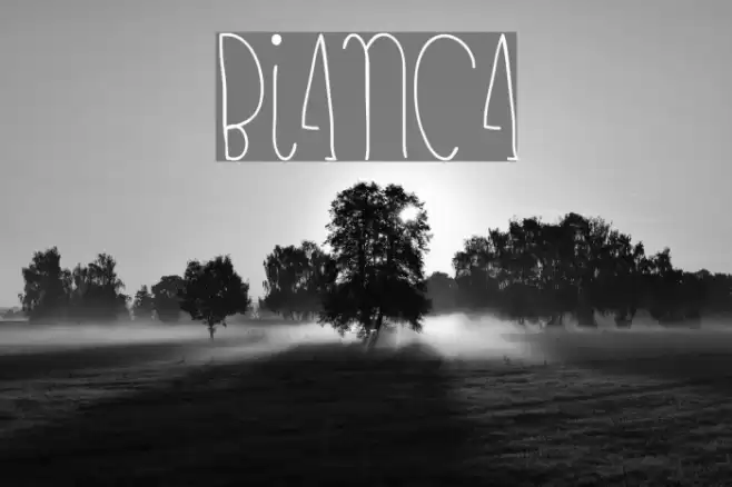 bianca Font examples
