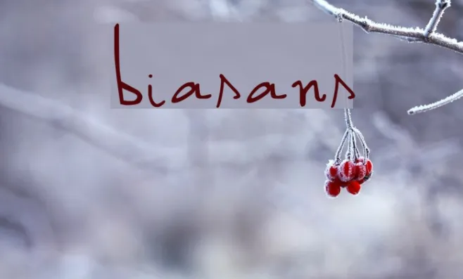 biasans Example 1