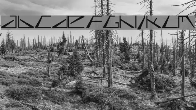 biasel Шрифта examples