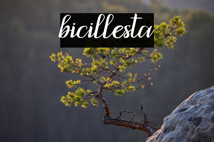 bicillesta Example 1