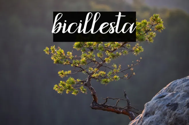 bicillesta Example 1