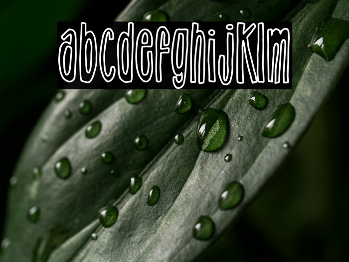 big Junkie Joe Example 1