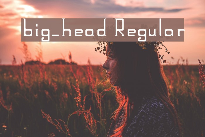 big_head Regular Font examples