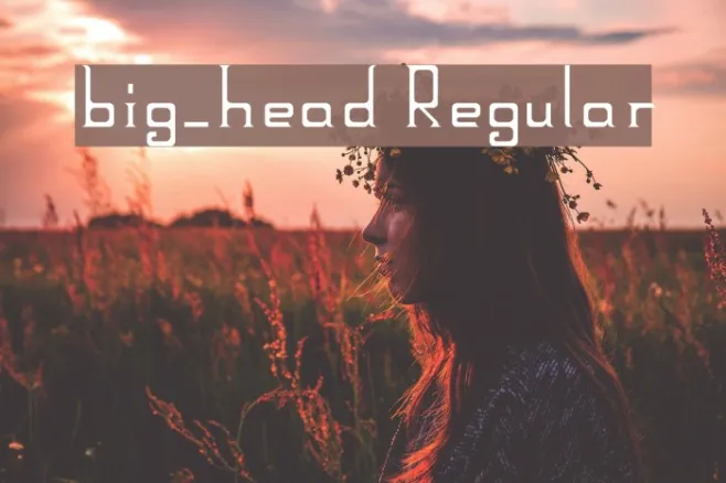 big_head Regular Example 1
