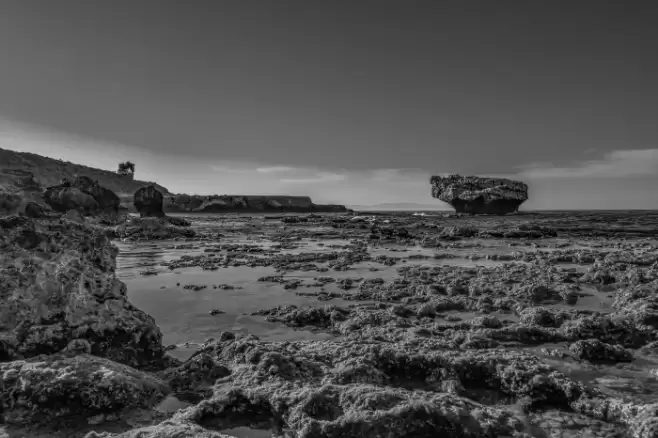 bigtop Font examples