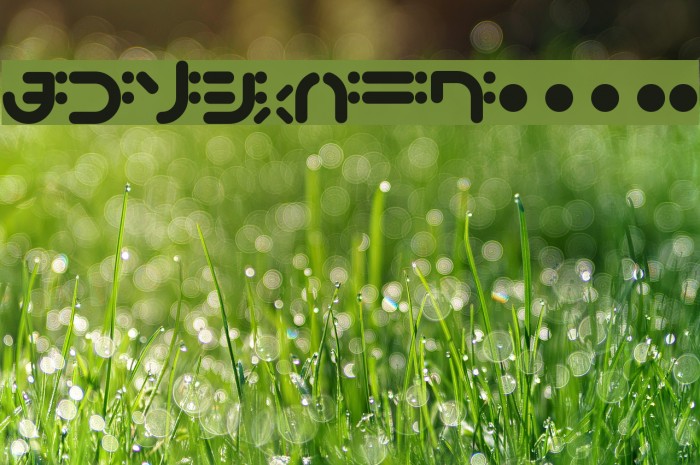 bigup Bold Example 1