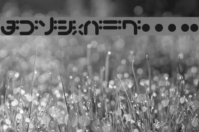 bigup Bold Font examples