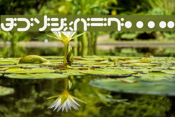 bigup Bold Example 3