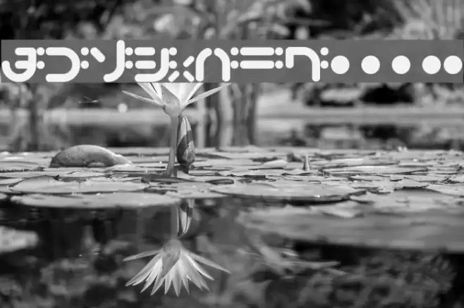 bigup Bold Font examples