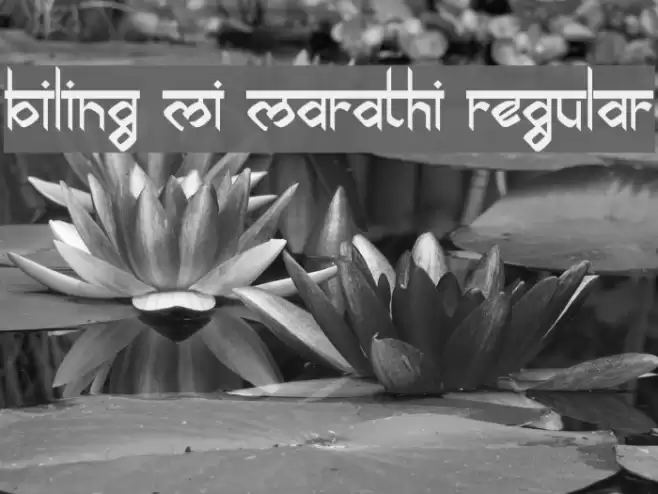 biling mi marathi Regular Font examples