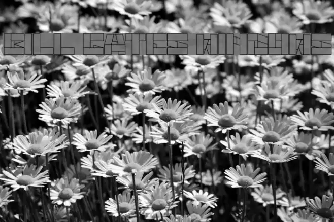 bill gates windows Font examples