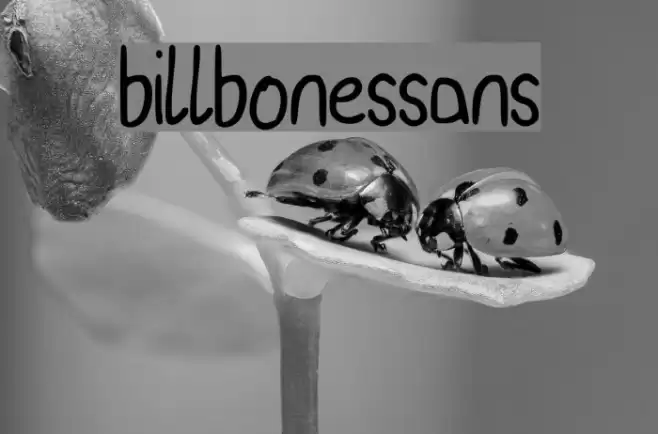billbonessans Font examples