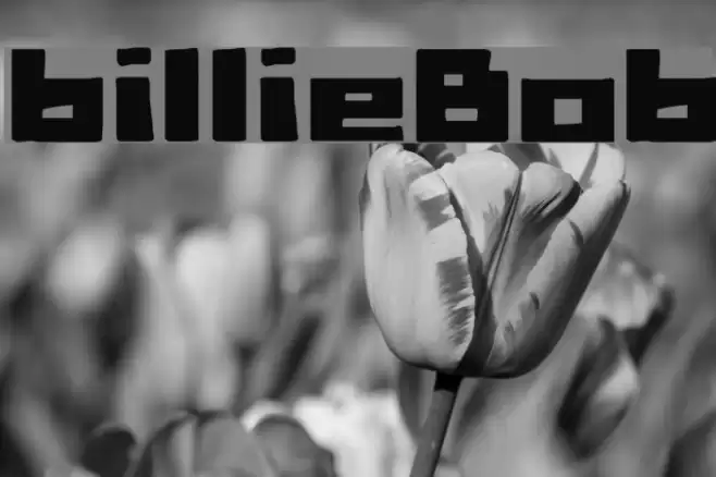 billieBob Font examples