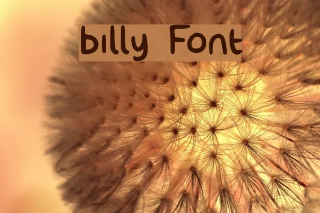 billy Example 2