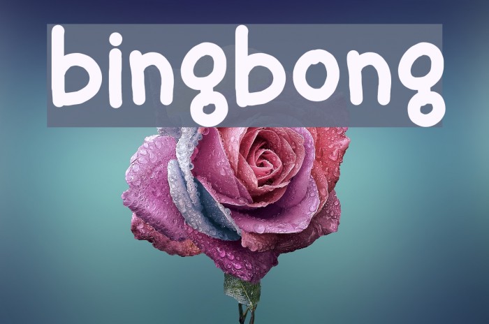 bingbong Font examples