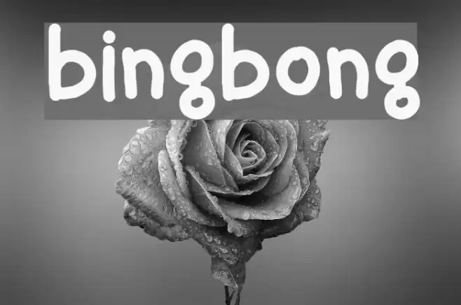 bingbong Font examples