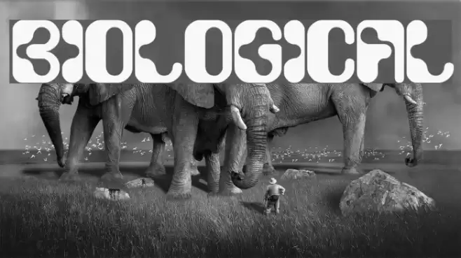 biological Font examples