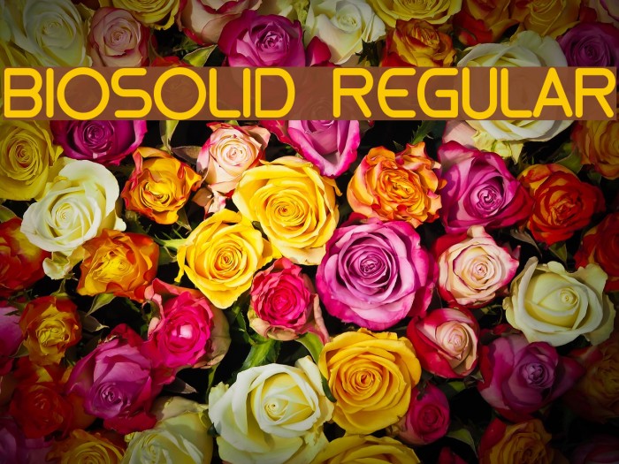 biosolid Regular Font examples
