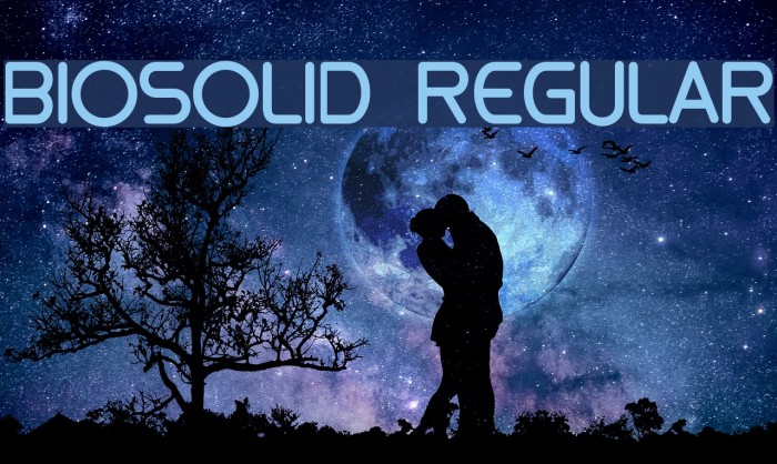 biosolid Regular Font examples
