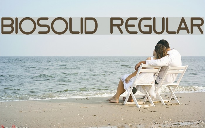 biosolid Regular Font examples
