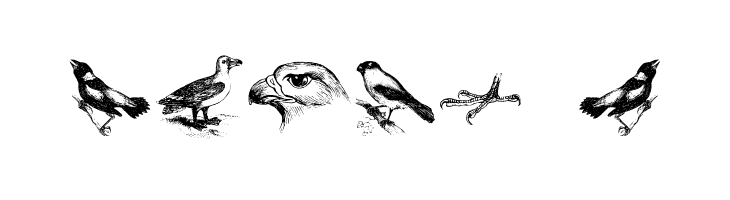 birds a Font