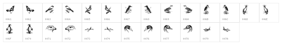 birds a Character Map