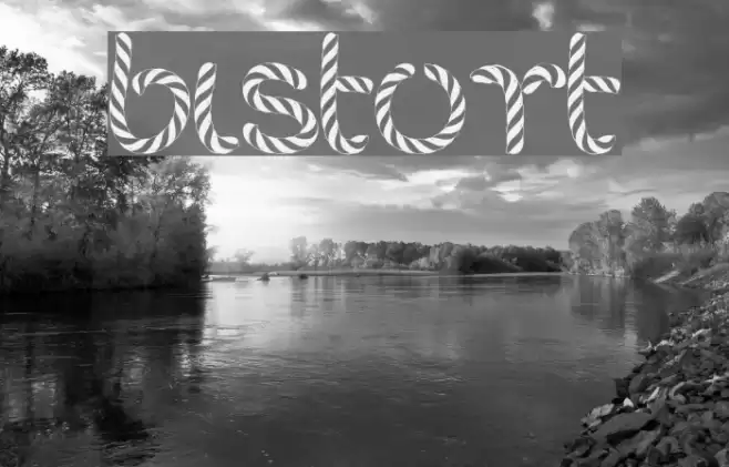 bistort Font examples