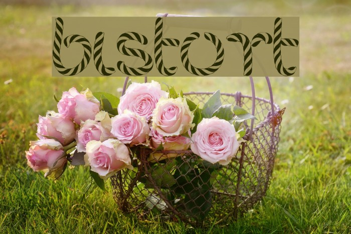 bistort Font examples