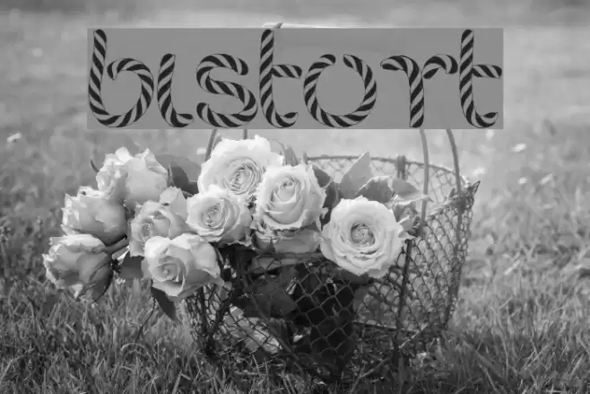 bistort Font examples