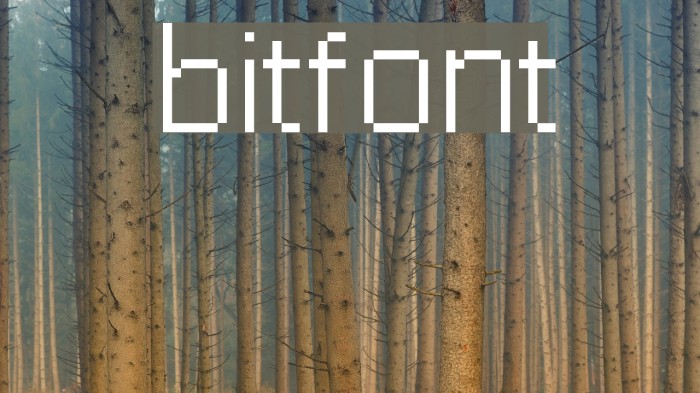 bitfont Font examples