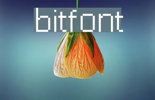 bitfont Example 3