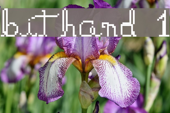 bithand 1 Font examples