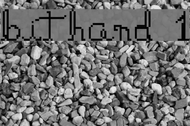 bithand 1 Polices examples