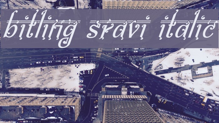 bitling Sravi Italic Font examples
