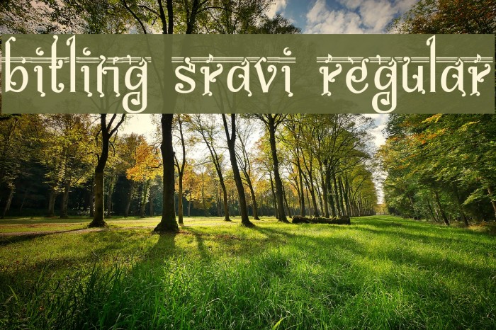 bitling Sravi Regular Font examples