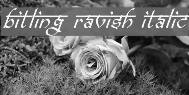 bitling ravish Italic Font examples