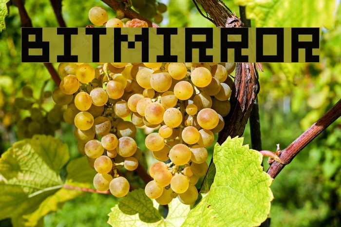 bitmirror Font examples