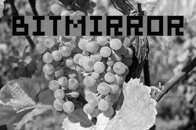 bitmirror Font examples
