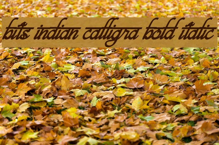 bits indian calligra Bold Italic Caratteri examples
