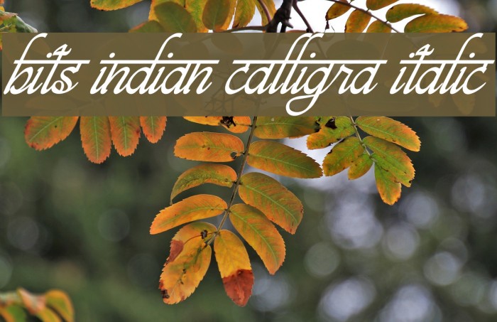 bits indian calligra Italic Font examples
