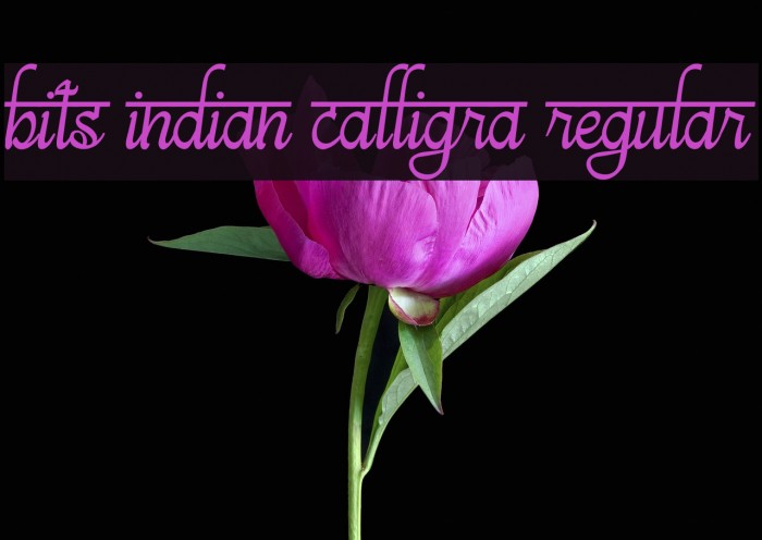 bits indian calligra Regular Example 2