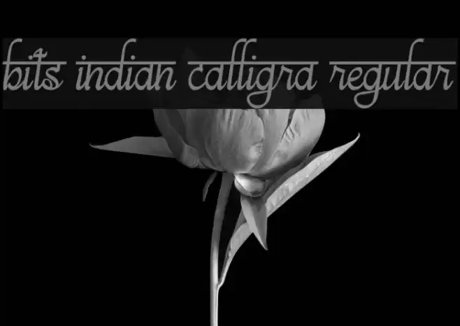 bits indian calligra Regular Font examples