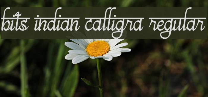 bits indian calligra Regular Example 3