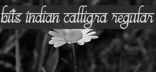 bits indian calligra Regular Font examples