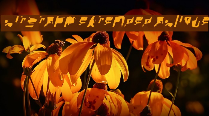 bitstorm extended oblique Example 2