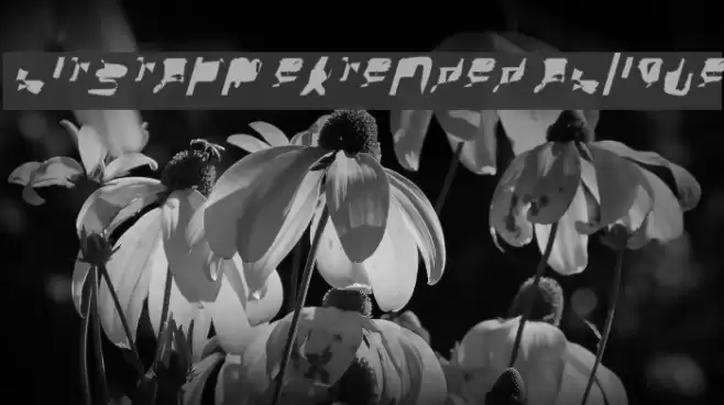 bitstorm extended oblique Font examples