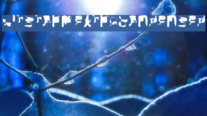 bitstorm extracondensed Example 1