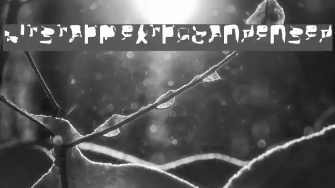 bitstorm extracondensed Font examples